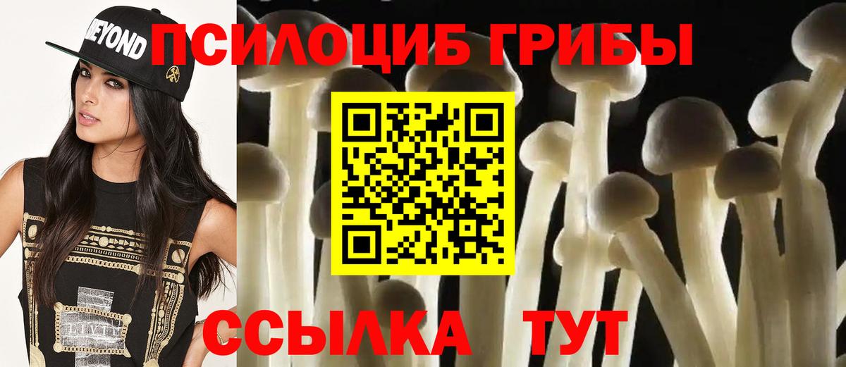 Псилоцибиновые грибы Psilocybine cubensis Майкоп